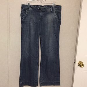 American Eagle plus size,flare leg, low rise jeans